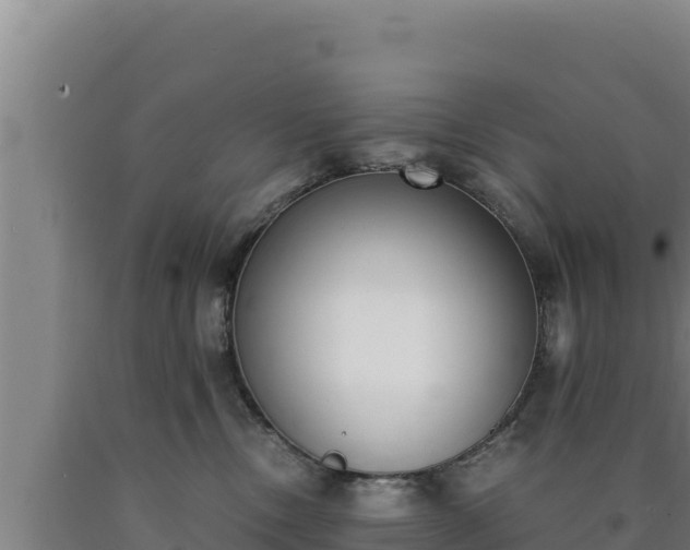 X0000090740378200707271429