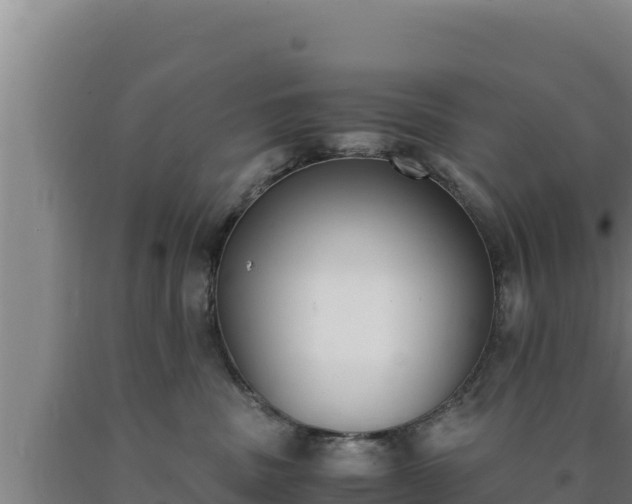 X0000090740379200707271429