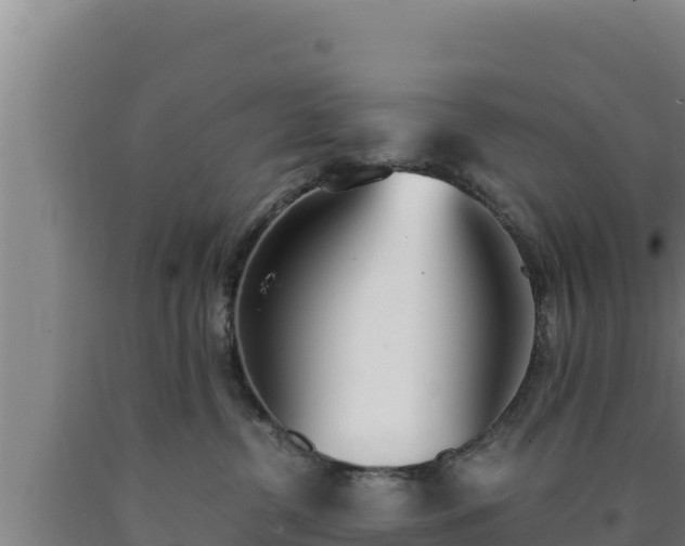 X0000090740380200707271429