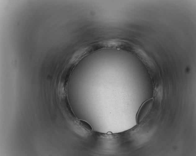 X0000090740381200707271429