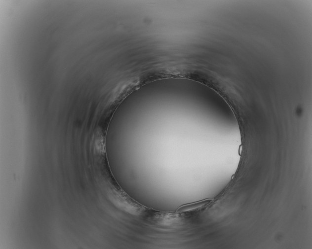 X0000090740384200707271429