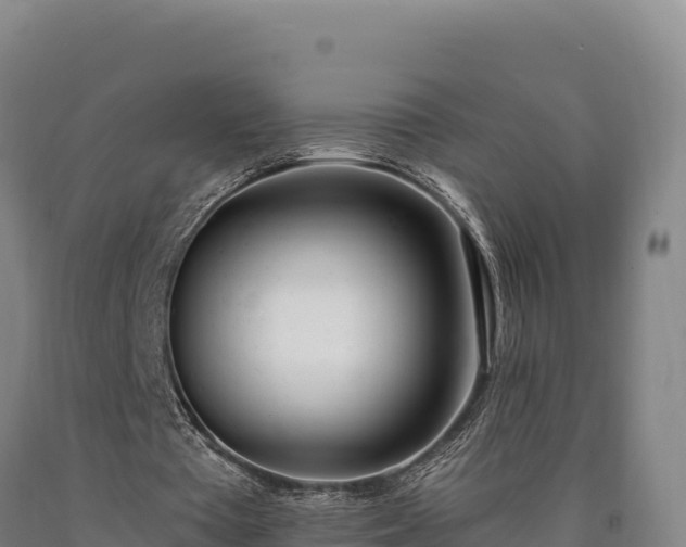 X0000090740385200707271428