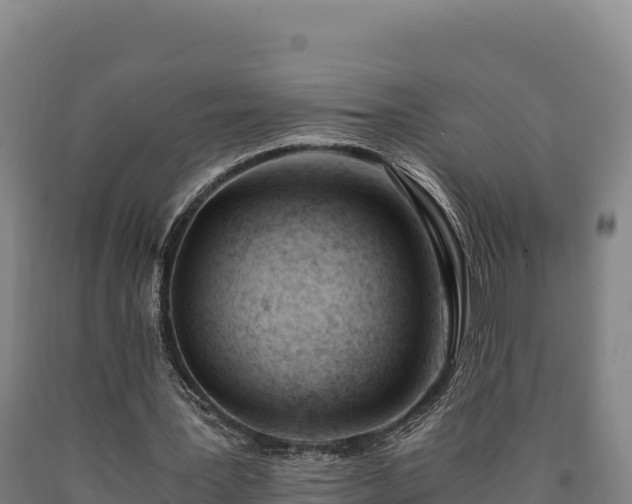 X0000090740387200707271428