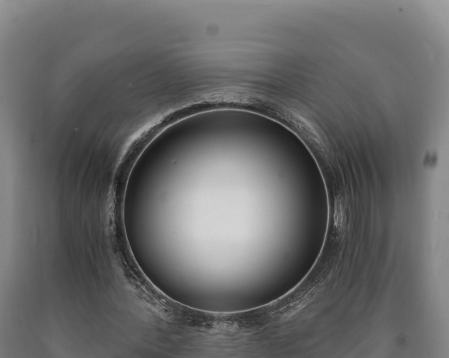 X0000090740388200707271428