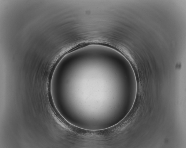 X0000090740389200707271428