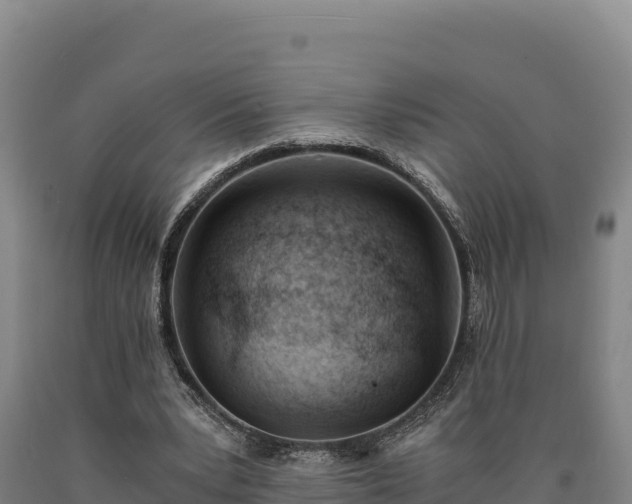 X0000090740391200707271428