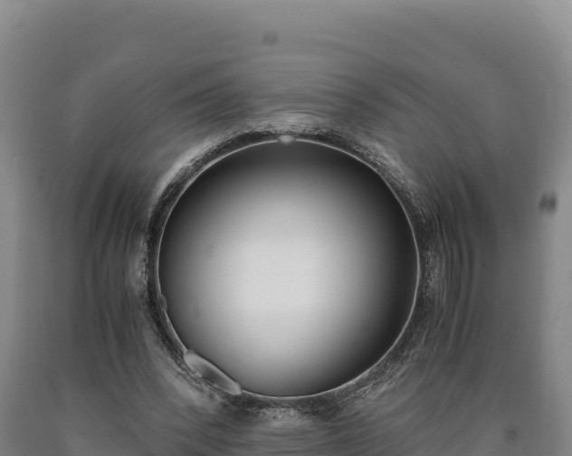 X0000090740392200707271428