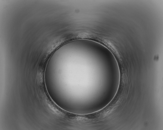 X0000090740393200707271428