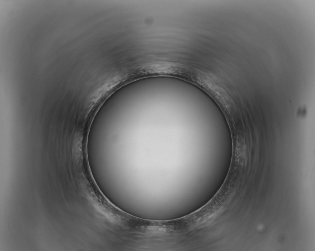 X0000090740394200707271428