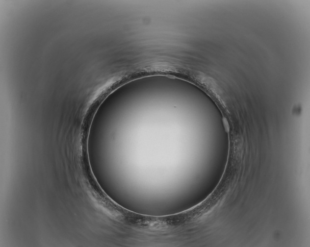 X0000090740395200707271428