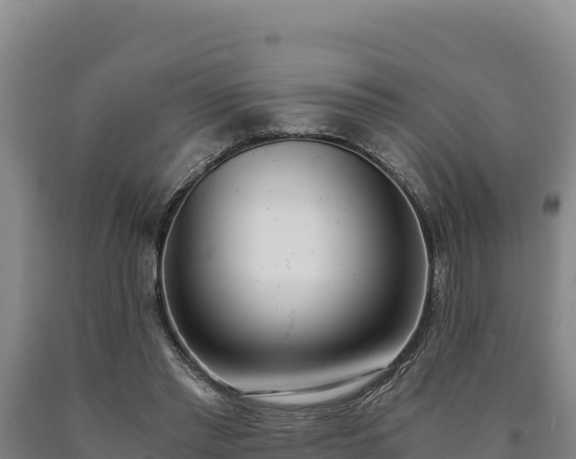 X0000090740397200707271428