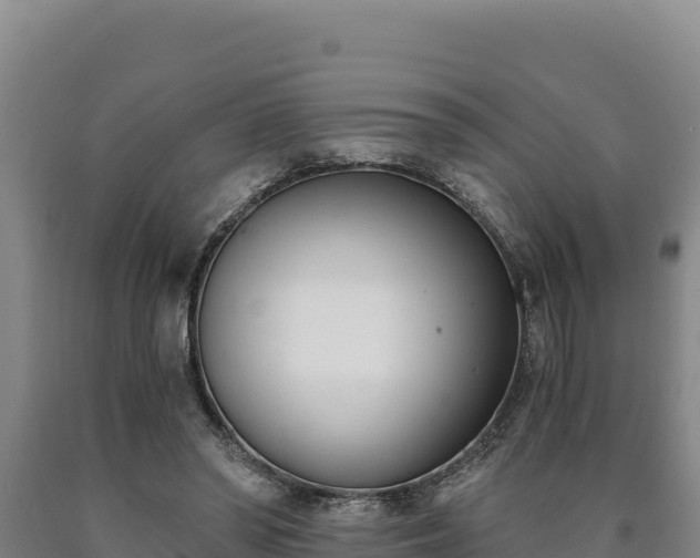 X0000090740398200707271428