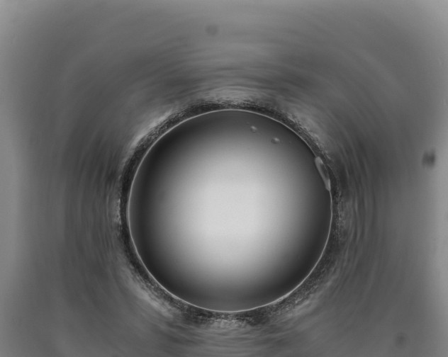 X0000090740399200707271428