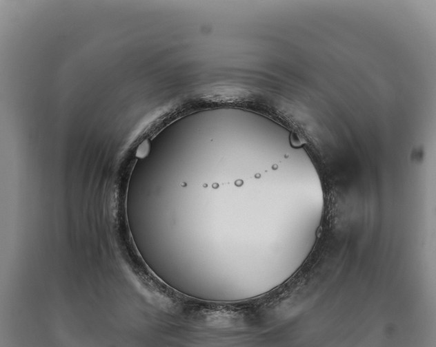 X0000090740400200707271428