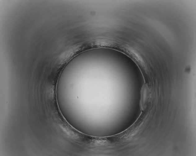 X0000090740401200707271428