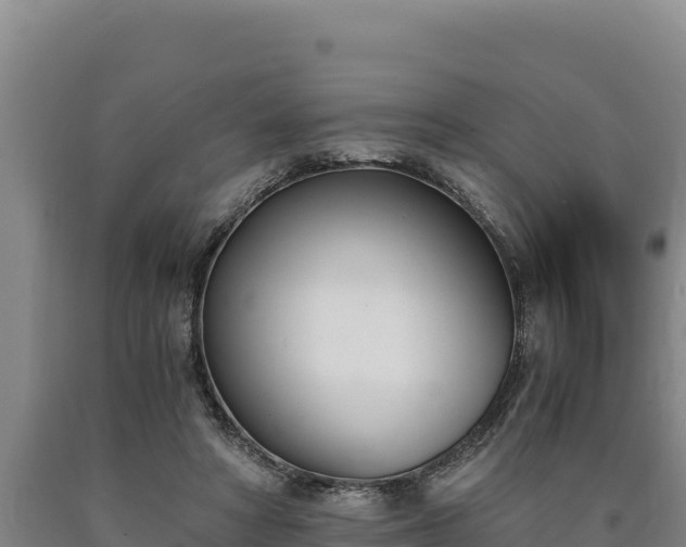 X0000090740402200707271428