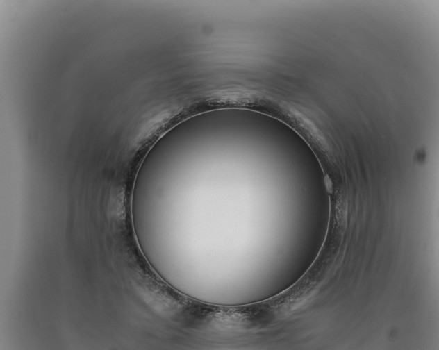 X0000090740403200707271428