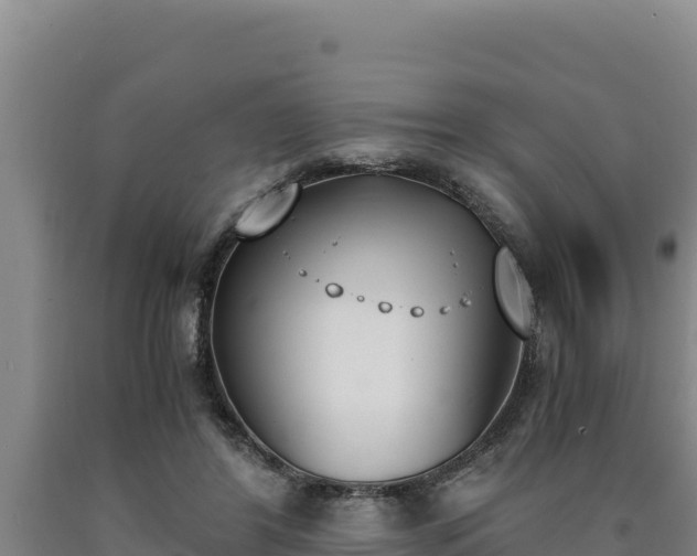 X0000090740404200707271428