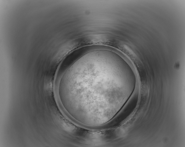 X0000090740405200707271428