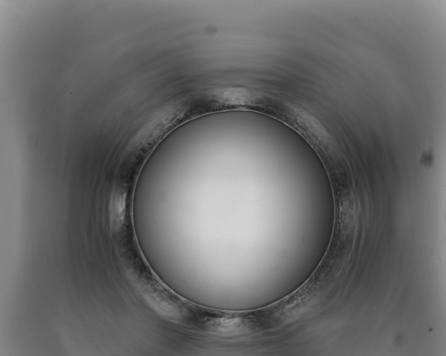 X0000090740406200707271428