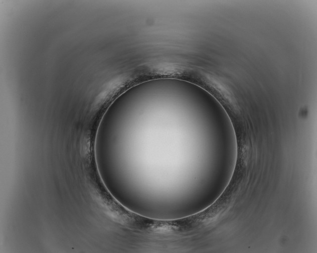 X0000090740407200707271428