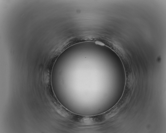 X0000090740413200707271428