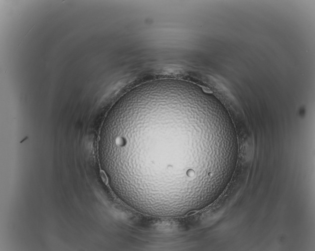 X0000090740415200707271428