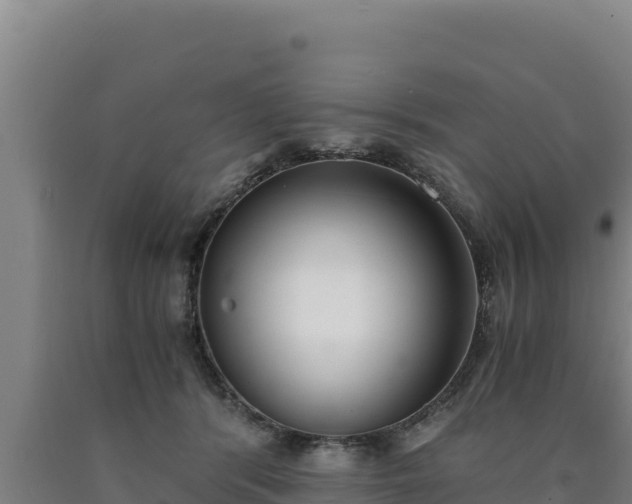 X0000090740416200707271428