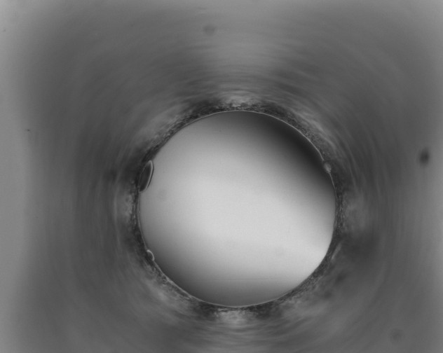 X0000090740417200707271428