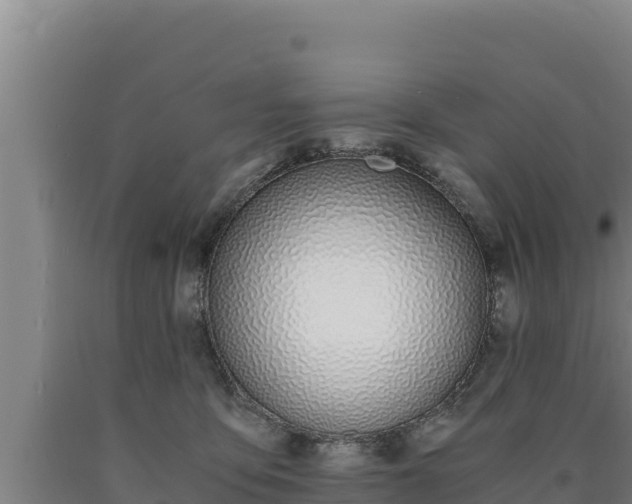 X0000090740419200707271428