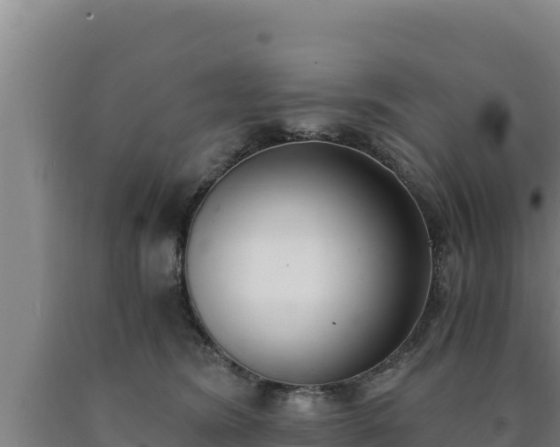 X0000090740420200707271428