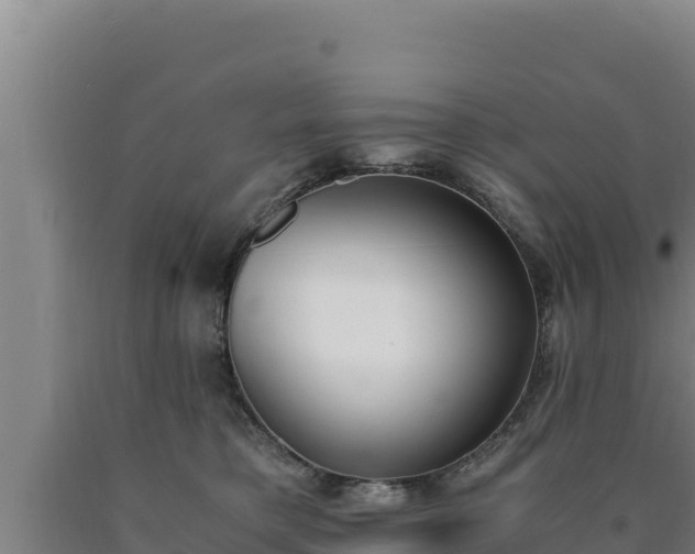 X0000090740421200707271428