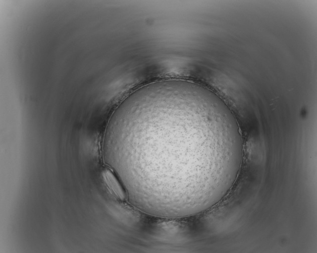 X0000090740423200707271428