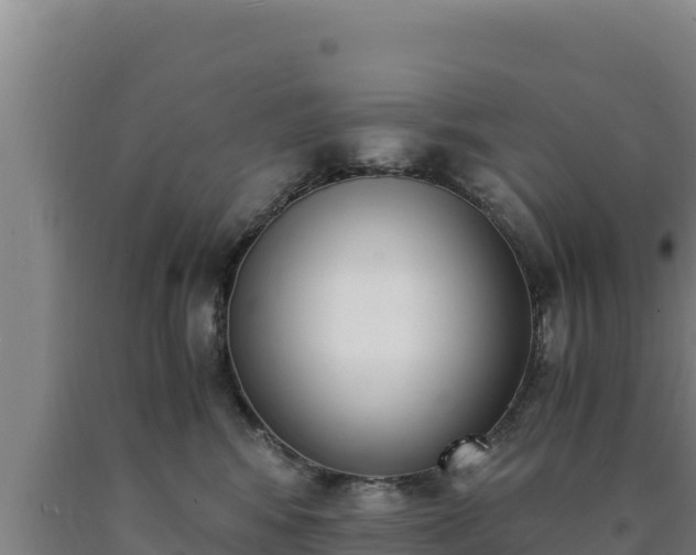 X0000090740424200707271428