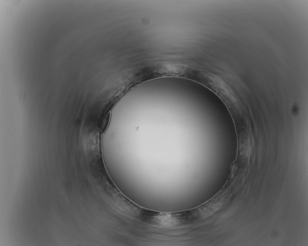 X0000090740425200707271428