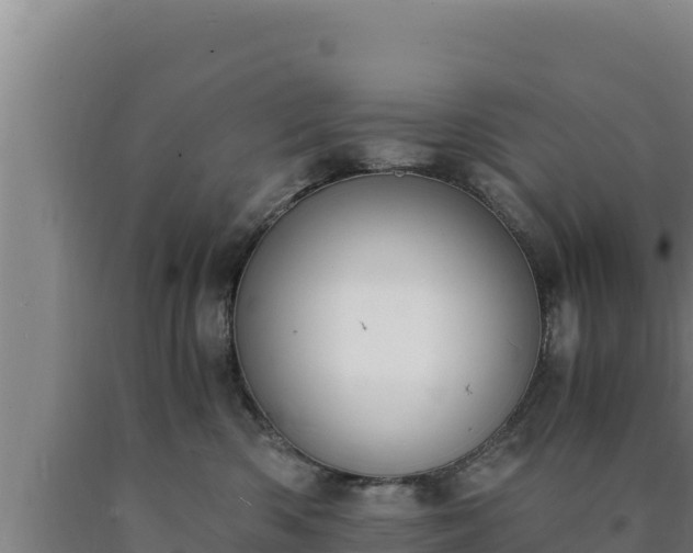 X0000090740426200707271428