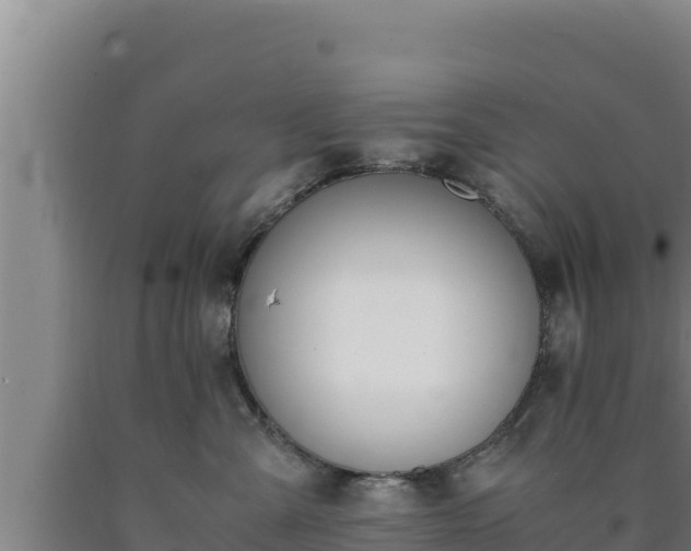 X0000090740427200707271428