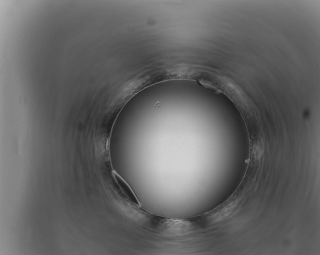 X0000090740429200707271428