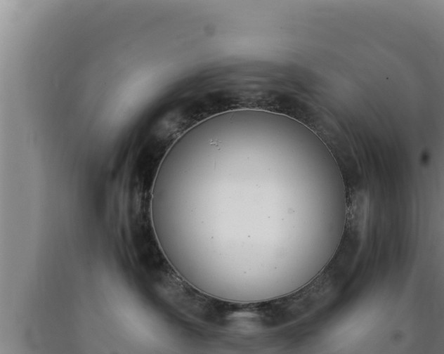 X0000090740430200707271428