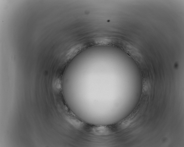 X0000090740431200707271428