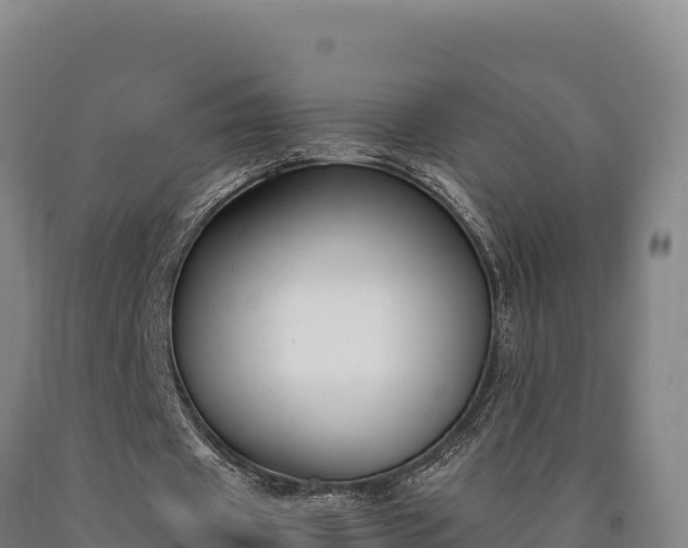 X0000090740433200707271427