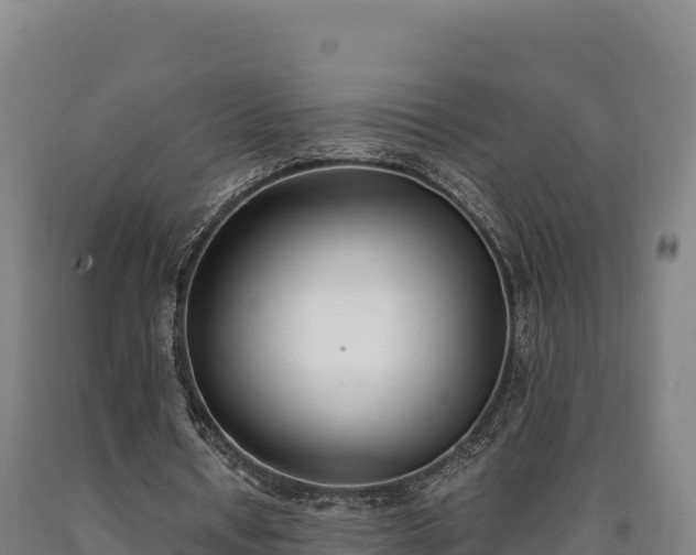 X0000090740434200707271427