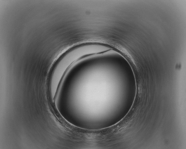 X0000090740436200707271427