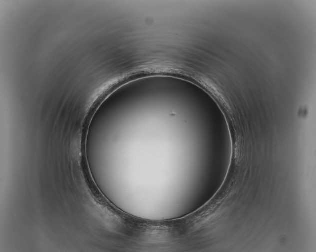 X0000090740438200707271427