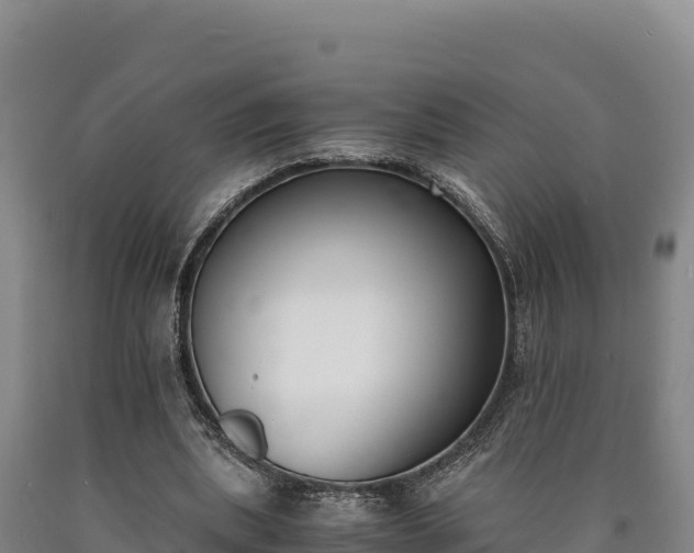 X0000090740439200707271427