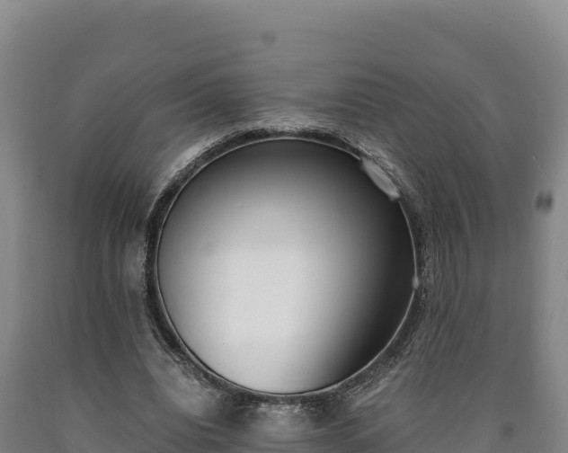 X0000090740440200707271427