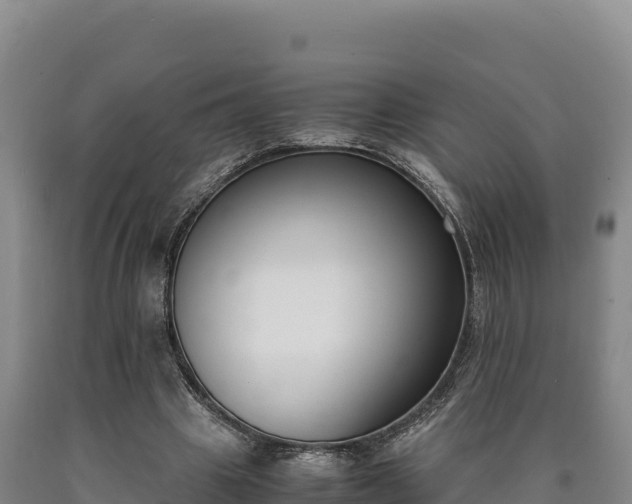 X0000090740441200707271427