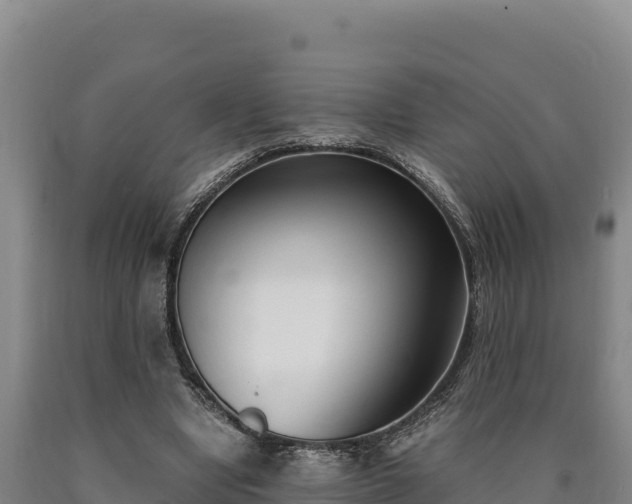 X0000090740442200707271427