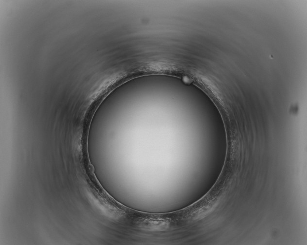 X0000090740443200707271427