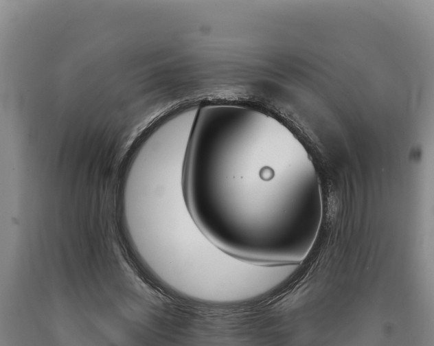 X0000090740444200707271427